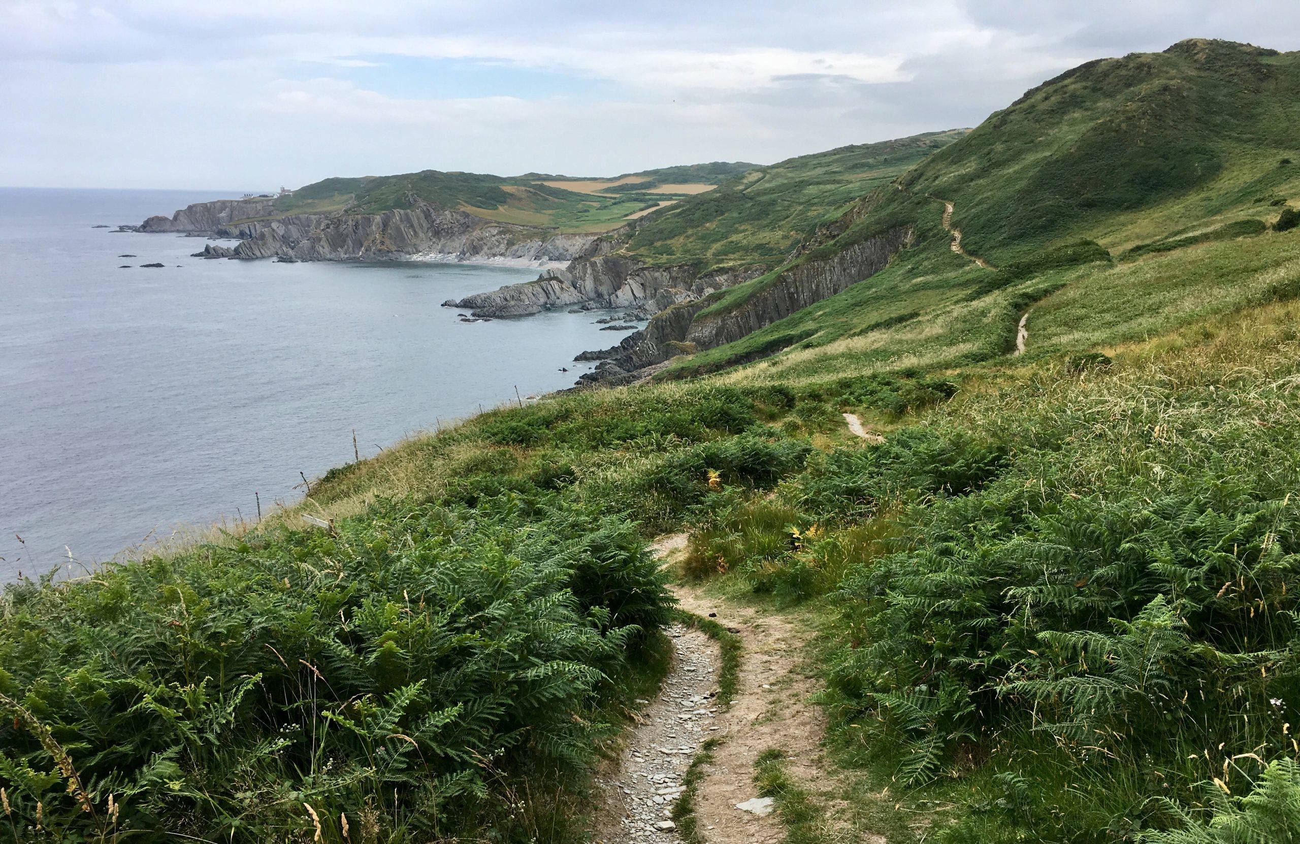 An image of the Devon coast