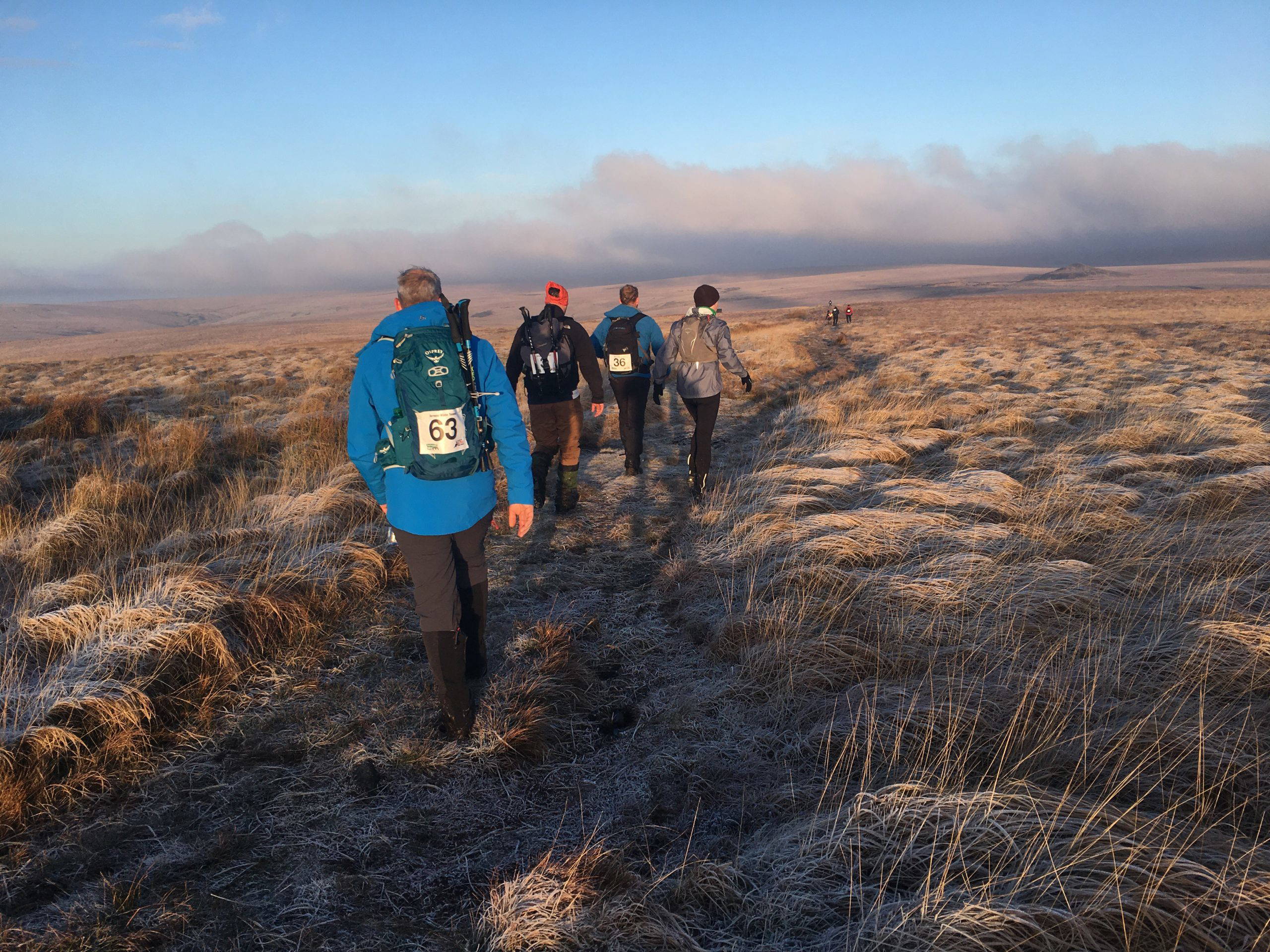 An image of a group of people hiking across the moors of Dartmoor.